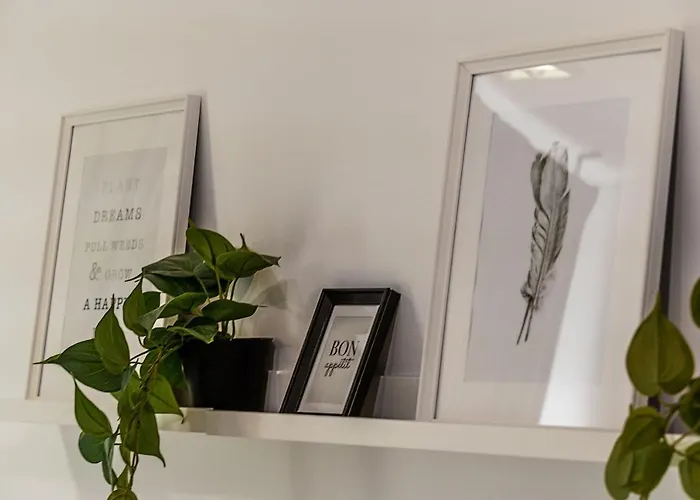 Travel&live Alegria 248 * Oporto