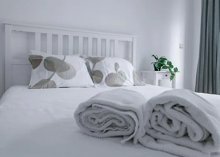 Travel & Live Alegria 248 Oporto