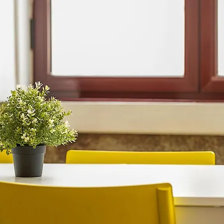 Travel&live Alegria 248