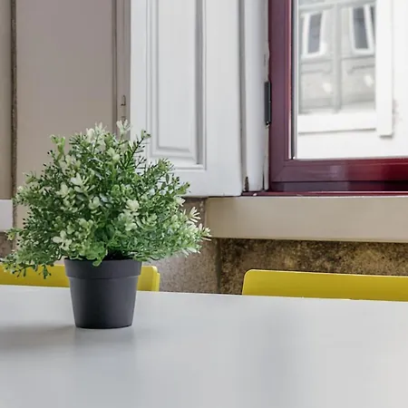 Travel & Live Alegria 248 Porto