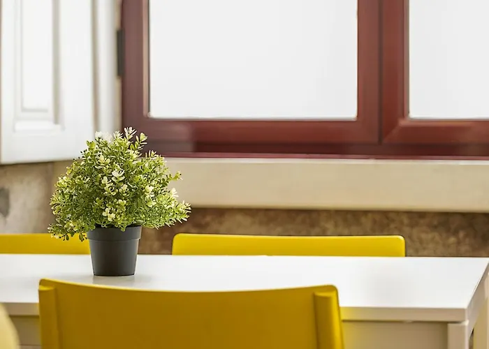 Travel & Live Alegria 248